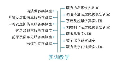 從酒店管理到數字化運營 專業名稱更迭背后的行業變革